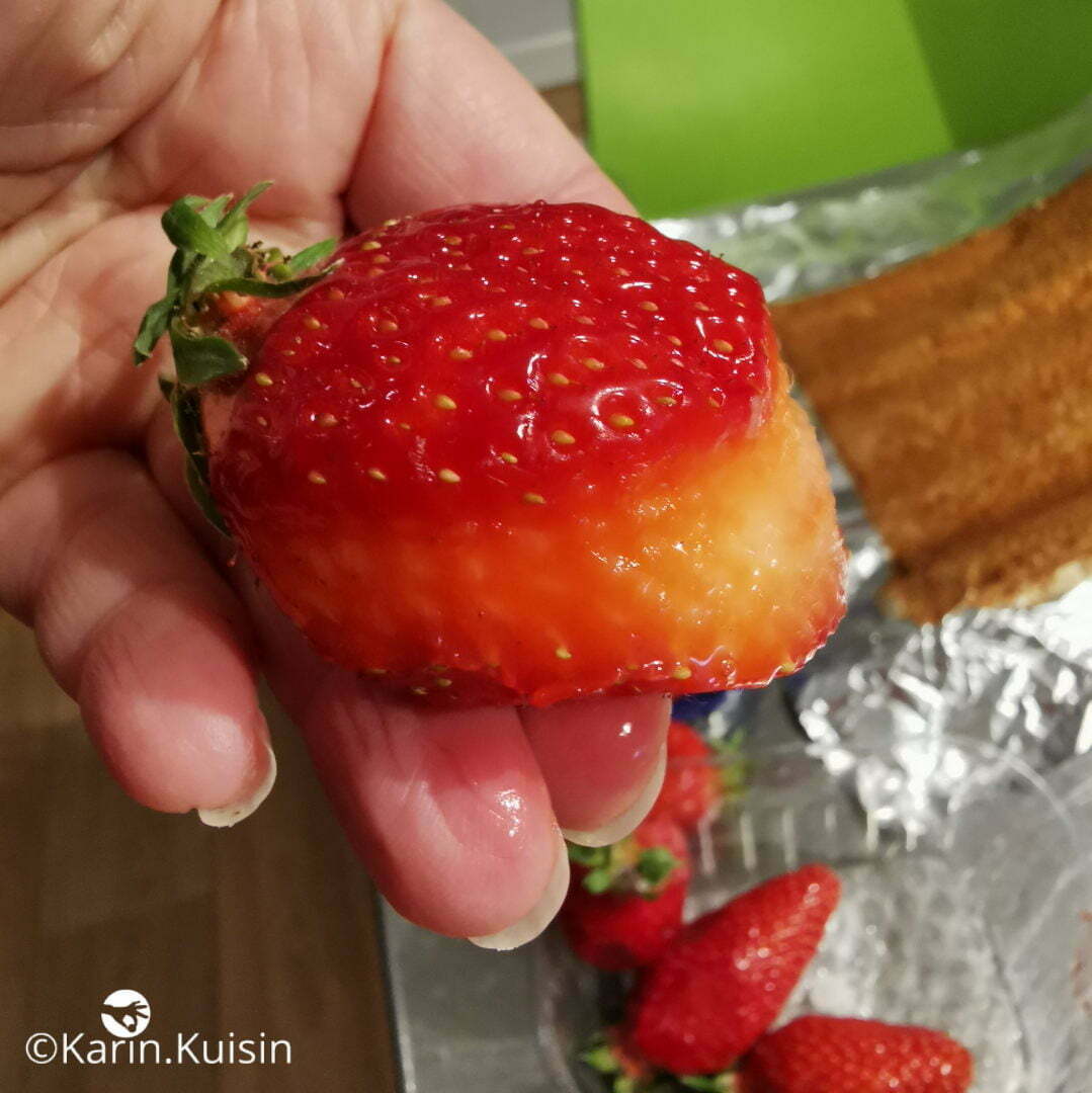 fraise détailler